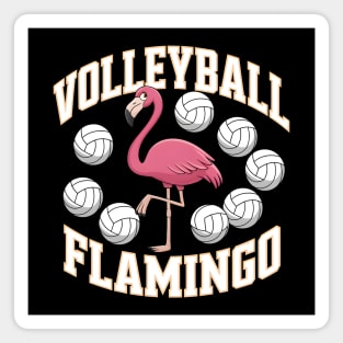 Volleyball Flamingo Funny Sports Magnet
